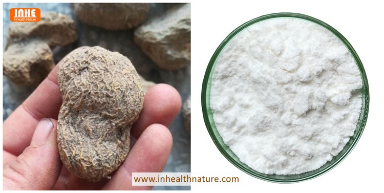 Oleanolic Acid Powder