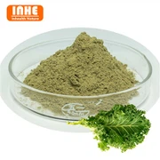 Dehidrēts kāpostu pulveris