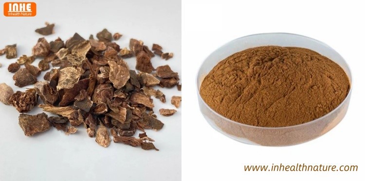 Pelargonium Sidoides Roots and Geranium Extract