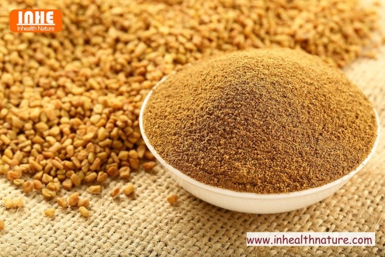Fenugreek Seed Extract Powder