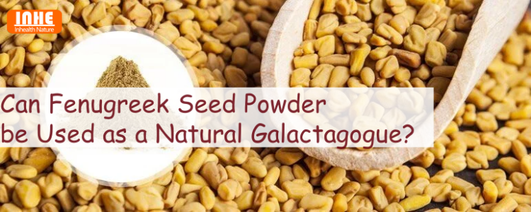 Can Fenugreek Seed Powder be Used as a Natural Galactagogue