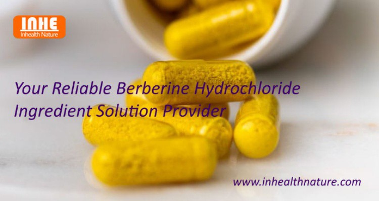 Your Reliable Berberine Hydrochloride Ingredient Solution Provider