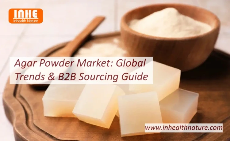 Agar Powder Market Global Trends B2B Sourcing Guide
