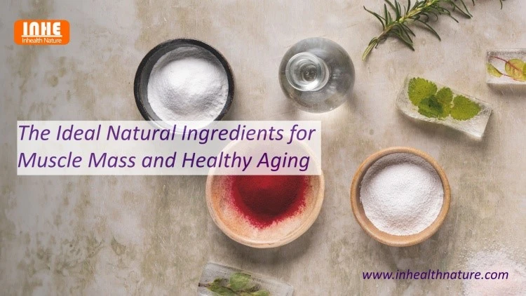 The Ideal Natural Ingredients for Muscle Mass and Healthy Aging The Ideal Natural Ingredients for Muscle Mass and Healthy Aging